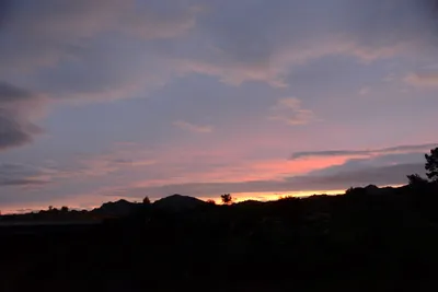 DSC_1440 (Large).JPG